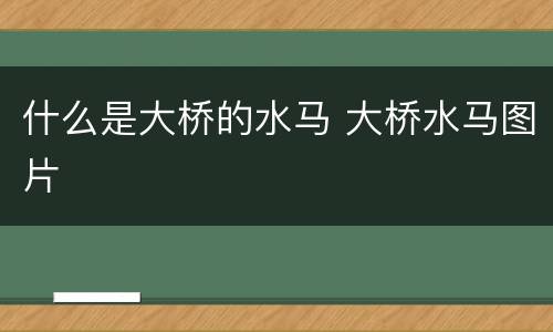 什么是大桥的水马 大桥水马图片