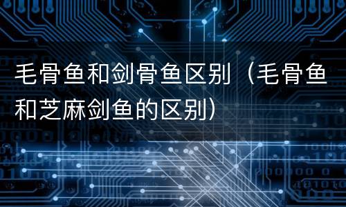 毛骨鱼和剑骨鱼区别（毛骨鱼和芝麻剑鱼的区别）