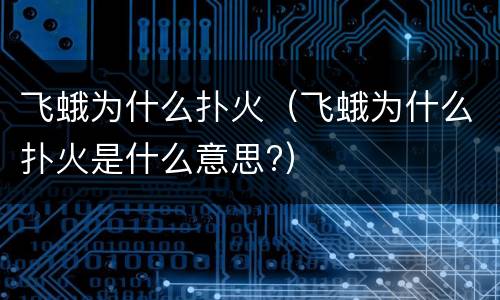 飞蛾为什么扑火（飞蛾为什么扑火是什么意思?）