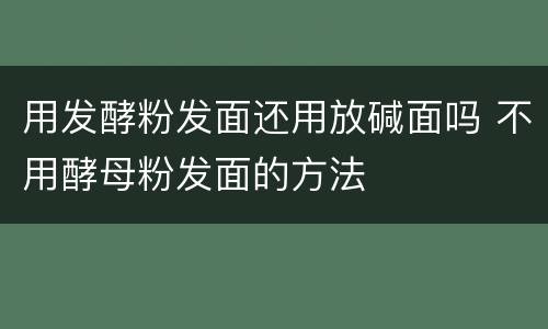 用发酵粉发面还用放碱面吗 不用酵母粉发面的方法