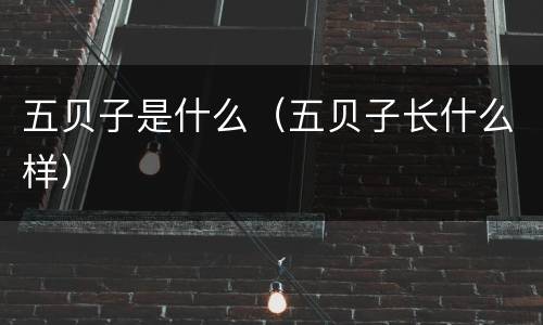 五贝子是什么（五贝子长什么样）