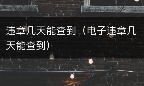 违章几天能查到（电子违章几天能查到）