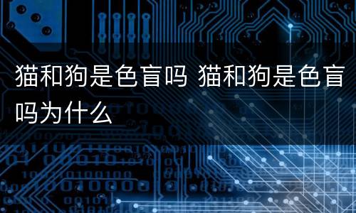 猫和狗是色盲吗 猫和狗是色盲吗为什么