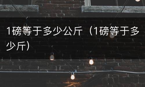 1磅等于多少公斤（1磅等于多少斤）