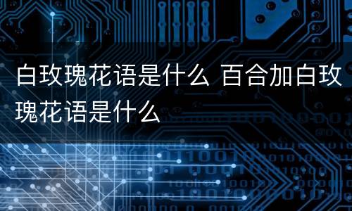 白玫瑰花语是什么 百合加白玫瑰花语是什么