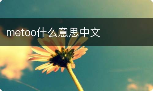 metoo什么意思中文
