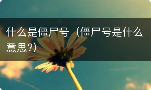 什么是僵尸号（僵尸号是什么意思?）