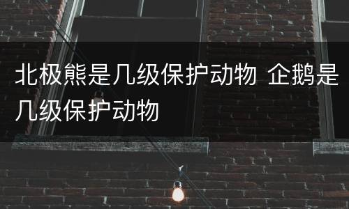 北极熊是几级保护动物 企鹅是几级保护动物