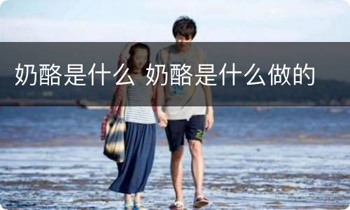 奶酪是什么 奶酪是什么做的