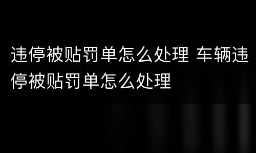 违停被贴罚单怎么处理 车辆违停被贴罚单怎么处理