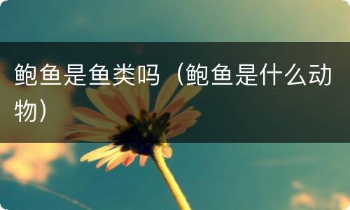 鲍鱼是鱼类吗（鲍鱼是什么动物）