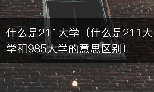 什么是211大学（什么是211大学和985大学的意思区别）