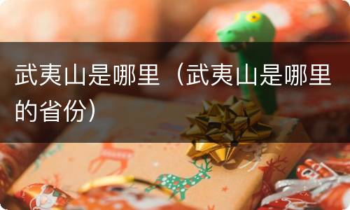 武夷山是哪里（武夷山是哪里的省份）