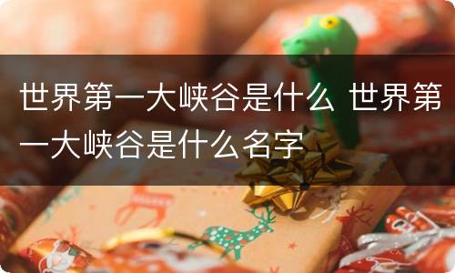 世界第一大峡谷是什么 世界第一大峡谷是什么名字