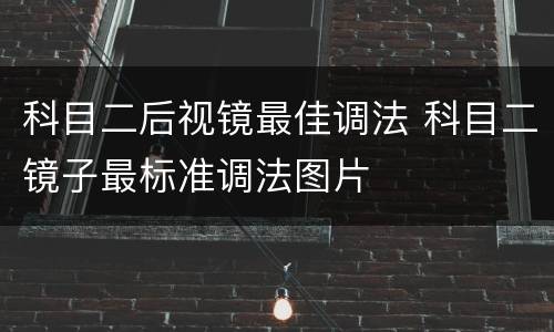 科目二后视镜最佳调法 科目二镜子最标准调法图片
