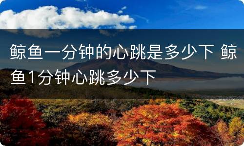 鲸鱼一分钟的心跳是多少下 鲸鱼1分钟心跳多少下