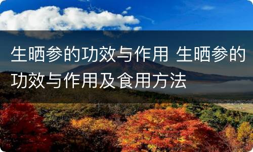 生晒参的功效与作用 生晒参的功效与作用及食用方法