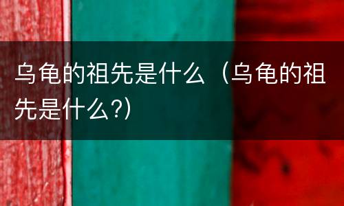 乌龟的祖先是什么（乌龟的祖先是什么?）