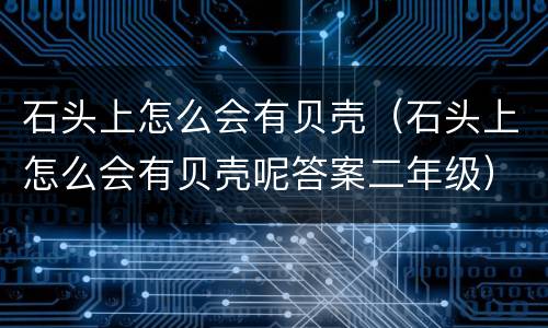 石头上怎么会有贝壳（石头上怎么会有贝壳呢答案二年级）