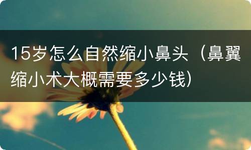 15岁怎么自然缩小鼻头（鼻翼缩小术大概需要多少钱）