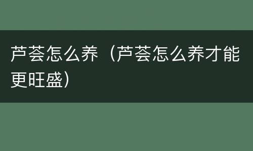 芦荟怎么养（芦荟怎么养才能更旺盛）