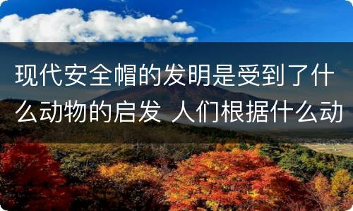 现代安全帽的发明是受到了什么动物的启发 人们根据什么动物发明了新型安全帽