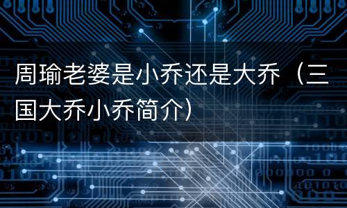 周瑜老婆是小乔还是大乔（三国大乔小乔简介）