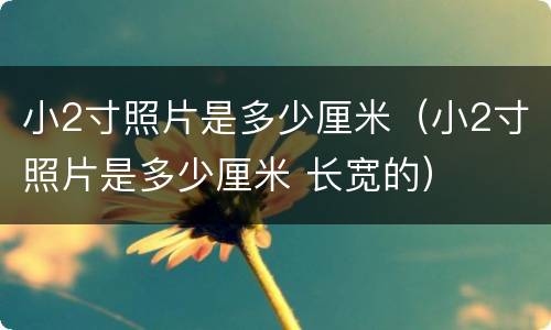 小2寸照片是多少厘米（小2寸照片是多少厘米 长宽的）