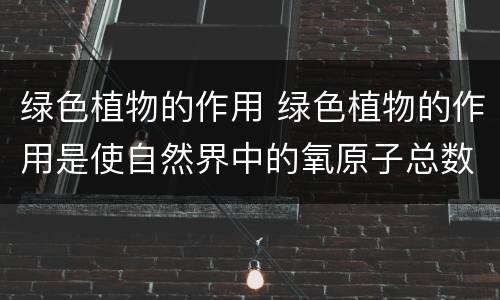 绿色植物的作用 绿色植物的作用是使自然界中的氧原子总数增加对吗