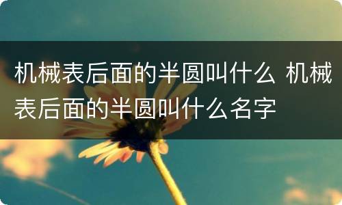 机械表后面的半圆叫什么 机械表后面的半圆叫什么名字