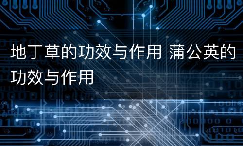 地丁草的功效与作用 蒲公英的功效与作用