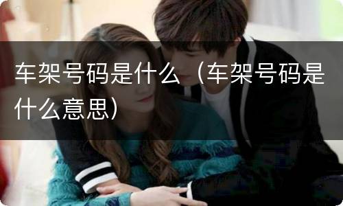 车架号码是什么（车架号码是什么意思）