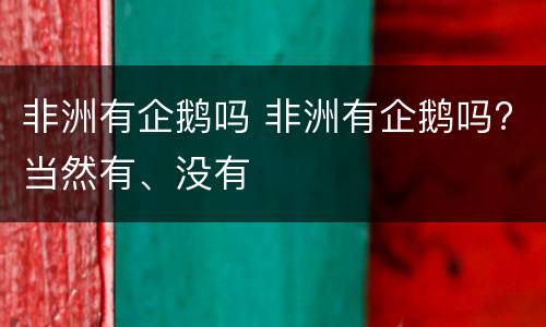 非洲有企鹅吗 非洲有企鹅吗?当然有、没有