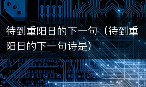 待到重阳日的下一句（待到重阳日的下一句诗是）