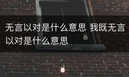 无言以对是什么意思 我既无言以对是什么意思