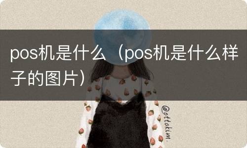pos机是什么（pos机是什么样子的图片）