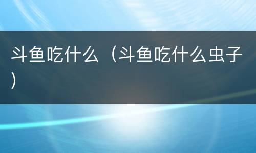 斗鱼吃什么（斗鱼吃什么虫子）