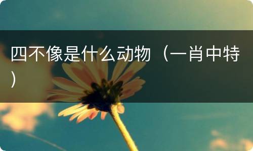 四不像是什么动物（一肖中特）