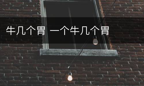 牛几个胃 一个牛几个胃