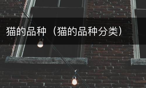 猫的品种（猫的品种分类）