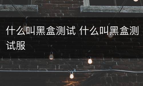 什么叫黑盒测试 什么叫黑盒测试服