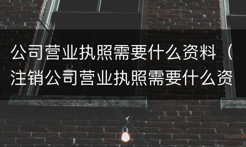 公司营业执照需要什么资料（注销公司营业执照需要什么资料）
