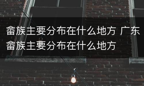 畲族主要分布在什么地方 广东畲族主要分布在什么地方