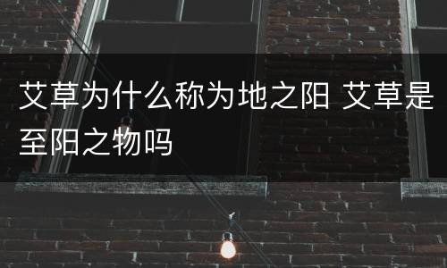 艾草为什么称为地之阳 艾草是至阳之物吗