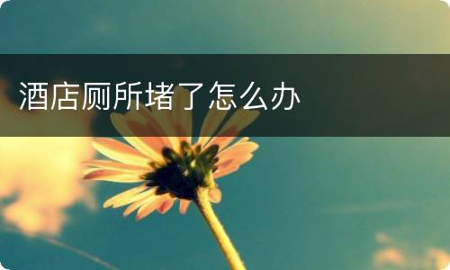 酒店厕所堵了怎么办