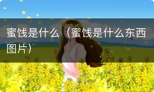 蜜饯是什么（蜜饯是什么东西图片）