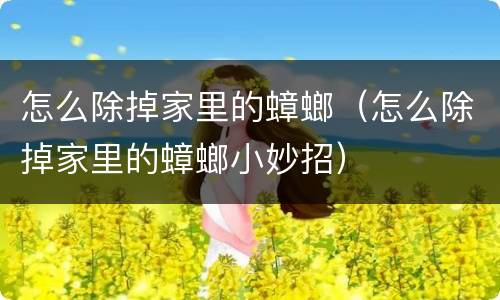 怎么除掉家里的蟑螂（怎么除掉家里的蟑螂小妙招）