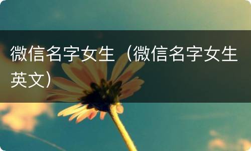 微信名字女生（微信名字女生英文）