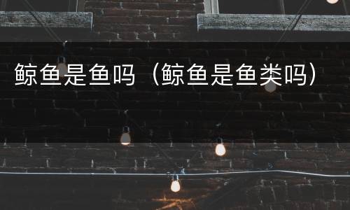 鲸鱼是鱼吗（鲸鱼是鱼类吗）