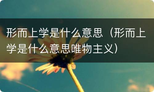 形而上学是什么意思（形而上学是什么意思唯物主义）